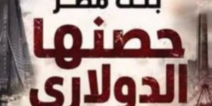 من قلب الجحيم الاقتصادى.. مصر تبنى حصنها الدولاري وتغير المعادلة.. فيديو