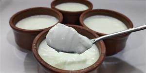 طريقة عمل الزبادي في البيت بقوام كريمي وطعم غني