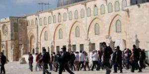 133 مستوطنًا يقتحمون المسجد الأقصى بحماية شرطة الاحتلال الإسرائيلي
