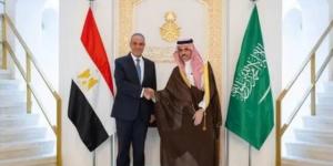 وزيرا خارجية السعودية ومصر يبحثان مستجدات المنطقة وتعزيز الاستقرار