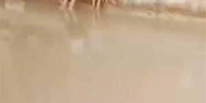 كسر ماسورة مياه يغرق شوارع قرية الرحمانية قبلي بقنا، والأهالي يستغيثون (صور)