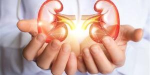 10 علامات تؤكد أن الكلى بصحة جيدة و9 نصائح للحفاظ عليها