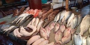 أسعار السمك اليوم، انخفاض الجمبري وارتفاع البلطي والكابوريا والبوري