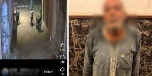من سرقة "تابلت" إلى الاعتداء على كلب، الداخلية تكشف ملابسات وقائع متداولة