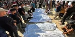3 شهداء جراء استهداف مسيرة لمخيم جباليا وطرد ممثلي هولندا من غزة