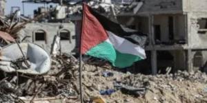 باكستان: استمرار سقوط قتلى في غزة يثير تساؤلات حول الالتزام بوقف إطلاق النار