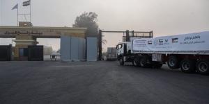 وصول 903 أطنان مساعدات إماراتية إلى قطاع غزة عبر 74 شاحنة