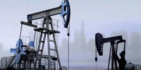 ارتفاع
      أسعار
      عقود
      النفط
      في
      نهاية
      تعاملات
      الأربعاء