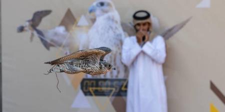 ختام منافسات الملاك الدوليين بمهرجان الملك عبدالعزيز للصقور 2025
