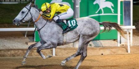 «العين للفروسية والرماية» ينظم 114 فعالية في الموسم