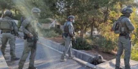 مقاومة الجدار الفلسطينية: 1637 اعتداء نفذها جيش الاحتلال والمستوطنون فى أبريل