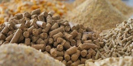 انخفاض الذرة والصويا، أسعار الأعلاف والحبوب اليوم في الأسواق