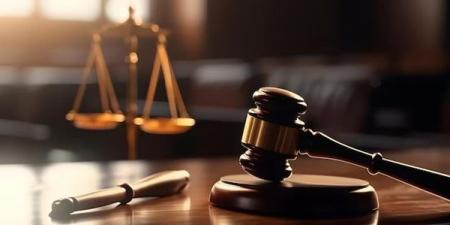 7 يوليو، أولى جلسات استئناف عامل على حكم حبسه في التحرش بفتاة بالقطامية