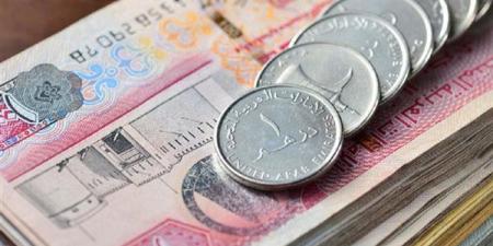 سعر الدرهم الإماراتي مقابل الجنيه في 5 بنوك بختام تعاملات الأسبوع