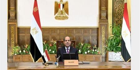 السيسي يتابع مستجدات تجهيز مصنعي الفايبر جلاس بشركة قناة السويس للقوارب الحديثة