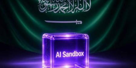 البنك الدولي يشيد بالبيئة التجريبية للذكاء الاصطناعي في التعليم الرقمي بالمملكة