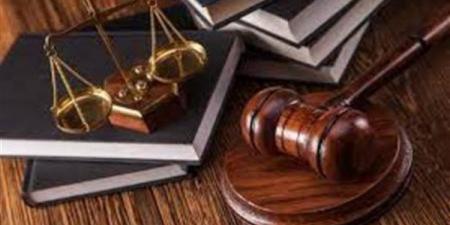 إجراءات إعادة التحقيق والمحاكمة عن بُعد وفقًا للقانون