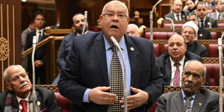 الشهابي: توجهات الرئيس بضرورة تنشيط الحياة الحزبية فرصة لمرحلة جديدة من العمل السياسي