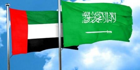 الإمارات تدين الهجمات الحوثية بالصواريخ الباليستية على جنوب السعودية