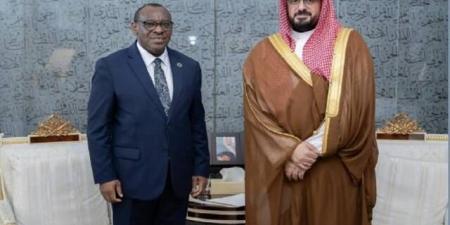 وزير الاقتصاد السعودي يبحث مع إيرلندا والأمم المتحدة التنمية المستدامة