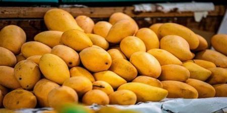 أسعار المانجو اليوم، 6 أصناف "تغري" المصريين والعويسي لـ"الفرجة"