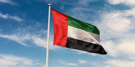 الإمارات تدين الهجمات على السعودية والأردن وتؤكد تضامنها الكامل مع البلدين