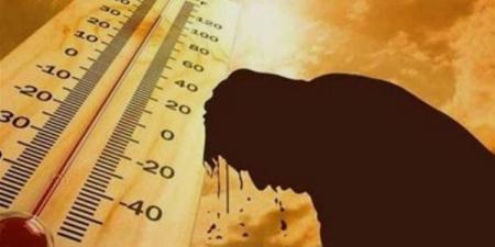 حرارته كالجحيم، خبير مناخي: شهر أغسطس بسترة طبيعية للجو وأحذر من زراعة هذه المحاصيل