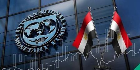 لماذا وافق صندوق النقد على الشريحة السابعة لمصر؟ خبير يكشف كلمة السر