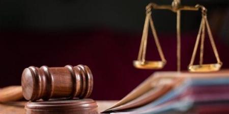 تأجيل محاكمة عاطل بتهمة استعراض القوة في المرج لـ 15 أغسطس