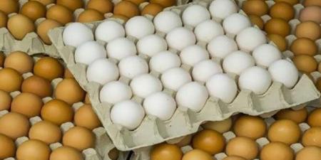 ارتفاع الأحمر والأبيض، سعر كرتونة البيض اليوم الأحد في بورصة الدواجن