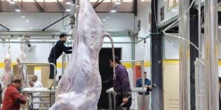 التنمية المحلية: تحويل 33 مجزرًا حكوميًا من العمل اليدوي إلى النظام نصف الآلي