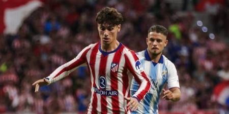 أتلتيكو مدريد يفوز على مالاجا 0/2 في الدوري الإسباني