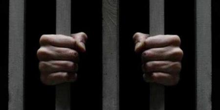 مواجهة قانونية تكشف التفاصيل، فتاة تتعرف على مسن اتهمته بالتحرش داخل ميكروباص بالمرج