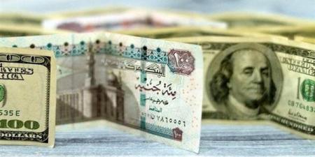 بعد التراجع الصباحي، الدولار يستعيد عافيته من جديد أمام الجنيه