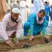 مبادرة لزراعة 300 شجرة بجوار المسجد النبوي