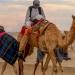 تفسير حلم ركوب الجمل في المنام وعلاقته بالتغلب على الأعداء