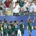 أسعار خيالية لتذاكر مباراة السعودية والرأس الأخضر في كأس العالم