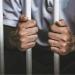 أول قرار ضد صانع محتوى نشر فيديوهات خادشة بالإسكندرية