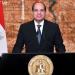 السيسي يعود إلى أرض الوطن عقب زيارة تنزانيا