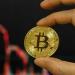 استقرار بيتكوين قرب أعلى مستوى منذ خمسة أسابيع