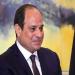 تعزيز التعاون الاستثماري والتجاري يتصدران المباحثات المصرية المدغشقرية اليوم