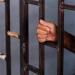 5 ملايين جنيه في قبضة نصاب، اعترافات صادمة تكشف حيلة شركة وهمية