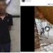 خلاف على قرض مالي ينتهي بإصابة سيدة سبعينية في طلخا والأمن يكشف كواليس الواقعة