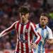 أتلتيكو مدريد يفوز على مالاجا 0/2 في الدوري الإسباني