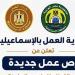60 فرصة عمل جديدة بالإسماعيلية، مديرية العمل تعلن وظائف بالمنطقة الحرة للشباب