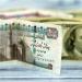 بعد التراجع الصباحي، الدولار يستعيد عافيته من جديد أمام الجنيه