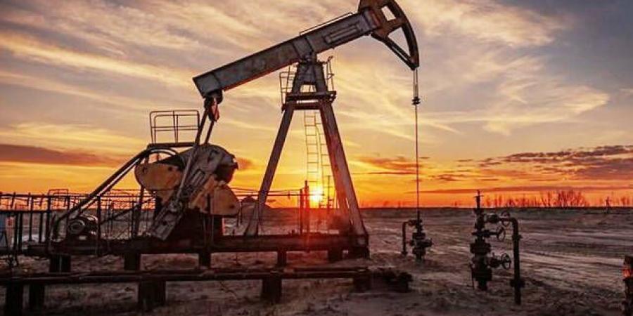 النفط
      يرتفع
      إثر
      تراجع
      مخزون
      الخام
      الأمريكي
      وهجمات
      الحوثيين