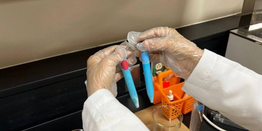 جامعة جدة تختتم فعاليات “المخيم الصيفي العلمي” للعام الثاني على التوالي