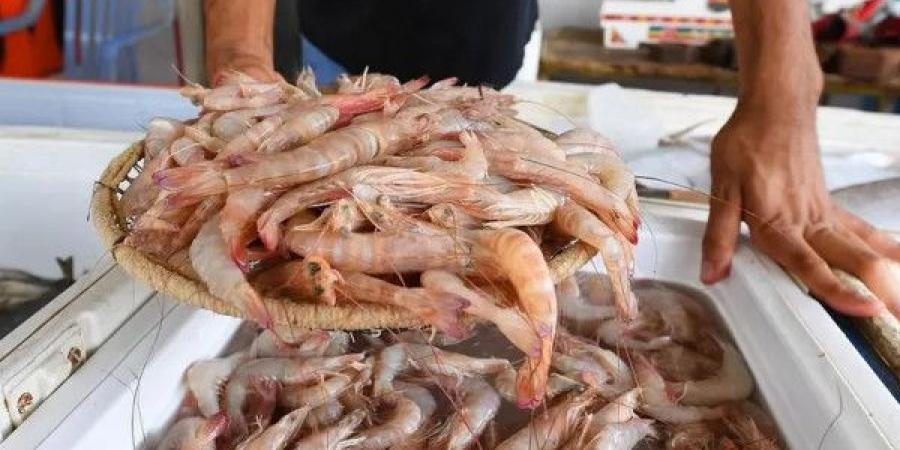 إندونيسيا تتخلص من أطنان من الروبيان الملوث بمادة مشعة