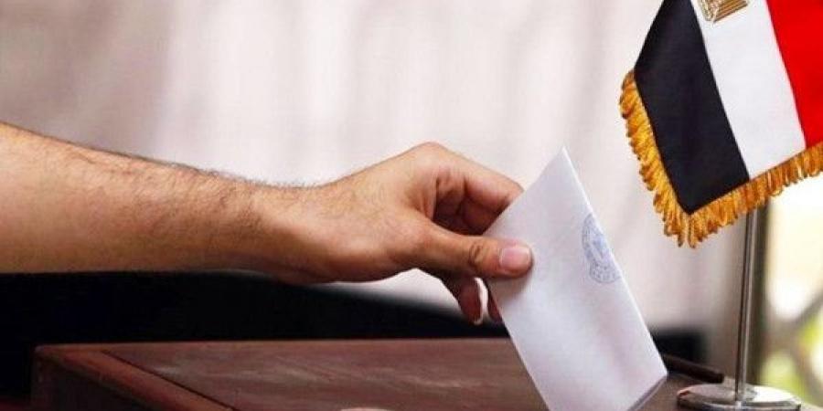 مصر: إلغاء نتائج انتخابات مجلس النواب في عدة دوائر
